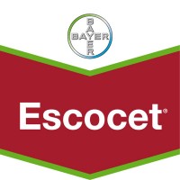 Foto de Escocet, Insecticida Tratamiento Semillas Bayer