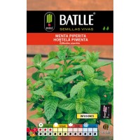 Foto de Menta Piperita sobre