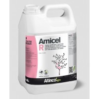 Amicel R, Altinco