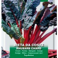 Acelga Roja. Rhubarb Chard. 250 Gr / 12.500 S