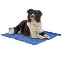 Alfombrilla Refrescante para Perros Dapac 40X