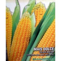 Maiz Dulce Golden Bantam. 100 Gr / 200 Semill