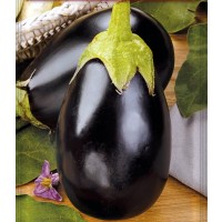 Berenjena Redonda Negra Black Beauty. Envase 