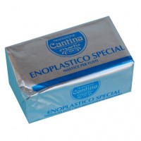 Masilla Enoplastico Special 500 Gr