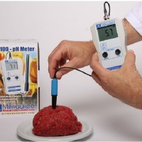 Medidor de PH para Alimentos Mw100A