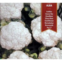 Semillas de Coliflor Alba. 4 Gr / 800 Semilla