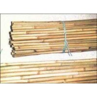 Tutores de Bambu