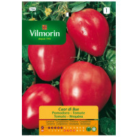 Vilmorin Semillas de Tomate Corazon BUEY S-1 