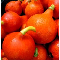 Calabaza Cebolla Onion. Tipo Uchiki Kuri. 250