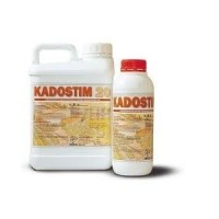 Kadostim, 1L