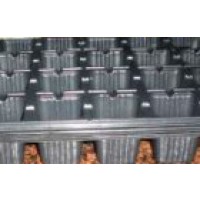 Pack 5 Bandejas Semillero Plastico Negro. 28 
