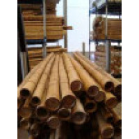 Bambu Decoracion 210 CM Calibre 50-60 MM (P10