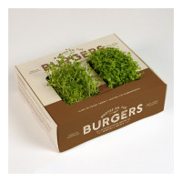 Kit Autocultivo Brotes Burger