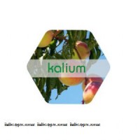 Kalium, Solución Potásica de Fyneco