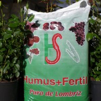 Humus + Fertil 750 Kg.