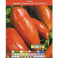 Tomate Pimiento Andine Cornue de los Andes. 0