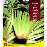 Borraja de Movera. Envase Hermético de 10 GR 