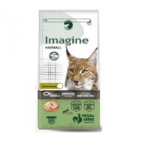 Imagine CAT Hairball Pollo&arroz Pienso para 