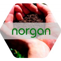 Norgan, Abono Orgánico NK Líquido de Origen V