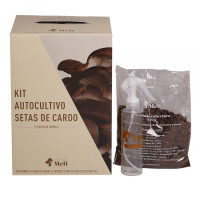 Kit Autocultivo Setas de Cardo