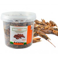 Insectos-Grillos 100g