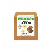 Kit de Cultivo Aromática Chocolate - Garden P