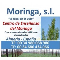 Franquicias de Cultivo de Moringa Ecologica