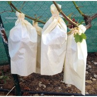 50 Bolsas de Papel para Uvas. 35 X 25 Cm