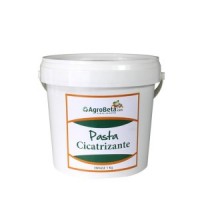 Agrobeta Pasta Cicatrizante