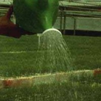 Inóculo de Micorrizas Endoplant Riego. 0.5 Kg
