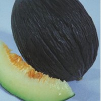 Melon Negro Tendral. Tardio. 300 Semillas.