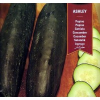 Pepino Ashley. 100 Gr / 3000 Semillas