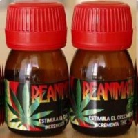 Reanimator Grow (Estimulante para Planta de C