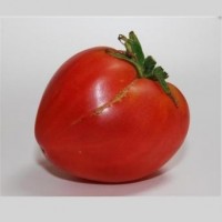 Tomate Corazón de Buey- Pequeño.  0,15 GR.