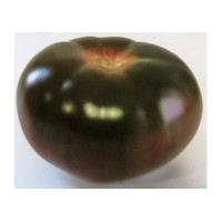 Tomate Negro-Black Gigante. Negro Crimea. 200