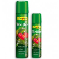 Brillo Planta Natural, Spray de Flower