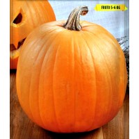 Calabaza Halloween. Envase de 5 Gr.