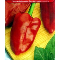 Pimiento del Piquillo. 2 Gr / 240 Semillas