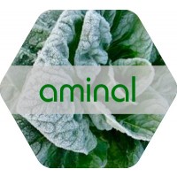 Aminal,  Solución NPK con Aminoácidos de Fyne