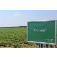 Corum, Herbicida de Post-Emergencia de BASF