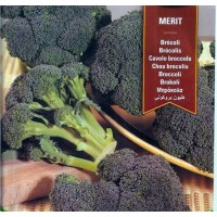 Brocoli Merit F1. Semiprecoz. 200 Semillas