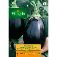 Vilmorin Semillas de Berenjena Black Beauty S