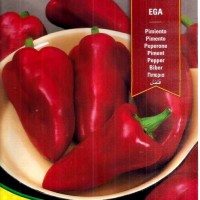 Pimiento Egea F1. Tipo Piquillo. 60 Semillas 