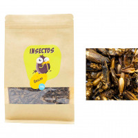 Grillos Deshidratados 150g – Fuente de Proteí