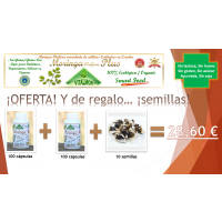 Oferta 8º Aniversario: 2 Botes Moringa + Semi