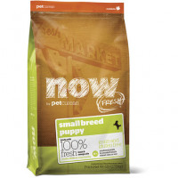 Now Grain Free Puppy Small Breed 2,7 Kg