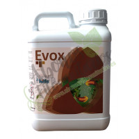 EVOX Insecticida Ecológico Hilfe, 5 L