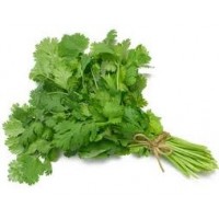 Semillas de Cilantro. Aromatica. Condimento. 