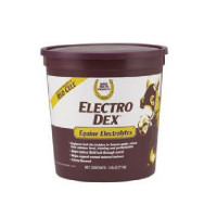 Vetnova Electro Dex® 1,13 Kg - Sales Solubles