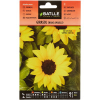 Semillas de Girasol Enano Amarillo - Batlle